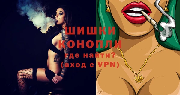 mix Бородино