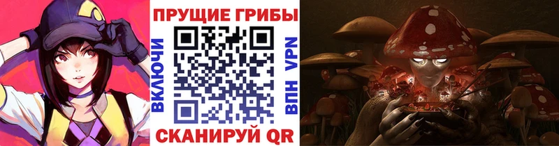 shop как зайти  Балашиха  Псилоцибиновые грибы MAGIC MUSHROOMS 